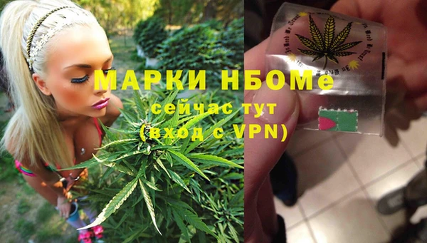 твердый Зерноград