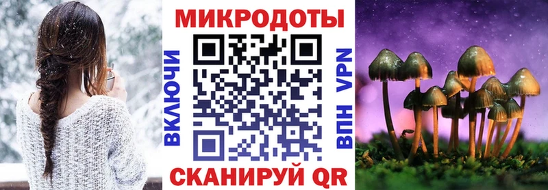 Галлюциногенные грибы Psilocybe  Шумиха 
